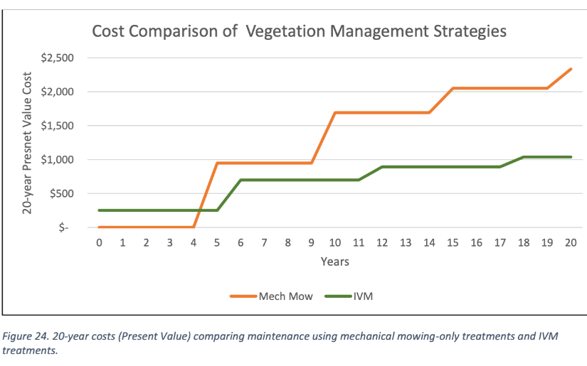 The Cost Efficiency of IVM
